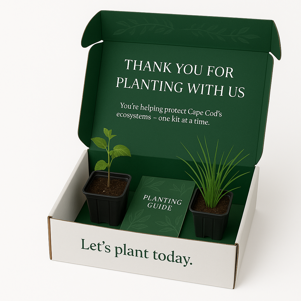 Pre-Order a Restoration Kit!  🌱
